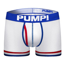 Load image into Gallery viewer, Comfortable Mesh Panties Low Waist Sexy Breathable Boxer Briefs